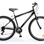 BIC. MTB KUWARA B83875 R29 21V