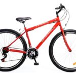 BICICLETA MTB KUWARA B83872 R29 21V