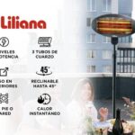 CALEFAC.LILIANA CCIPIE2000 INF