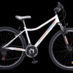 BIC. MTB KUWARA B83878 R29 24V