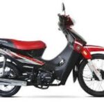 MOTO ZANELLA ZB-110RT RAYOS