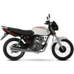 MOTO ZANELLA RX-150LT RAYOS